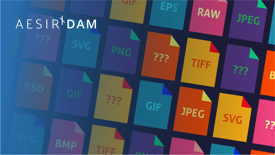 open source dam for developers aesirx dam file options